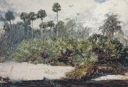 Winslow Homer In a Florida Jungle (mk44) oil painting